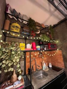 圣保罗Experience 41的厨房设有水槽和植物架子