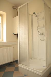 PieszyceGóry Sowie Apartament z osobnym wejściem的浴室里设有玻璃门淋浴