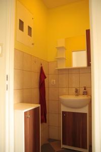 PieszyceGóry Sowie Apartament z osobnym wejściem的浴室配有盥洗盆、镜子和盥洗盆