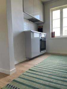 曼达尔Huset i hagen的一间厨房,配有白色家电和绿色地毯