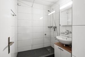 温特图尔Spacious-Excellent Connection-Parking-Washer的白色的浴室设有水槽和镜子