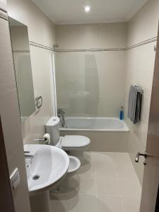 阿里翁达斯APARTAMENTO RIO SELLA的浴室配有卫生间、盥洗盆和浴缸。