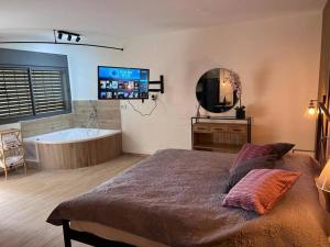 萨法德הצימר של אביטל的一间卧室配有一张床、一个浴缸和一台电视。
