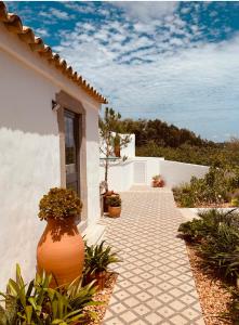 圣布拉什迪阿尔波特尔Casa na Colina : The Cottage and The Long House的坐在房子外的一个大橙色花瓶