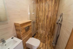 韦特利纳Wilki2的浴室配有卫生间、盥洗盆和淋浴。