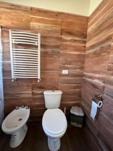 特来凡林Cabañas PH的一间带卫生间和水槽的浴室