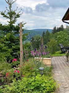 Rechenberg-BienenmühleKleines Chalet im Erzgebirge mit Sauna und Kamin的种有鲜花的花园,后方设有长凳
