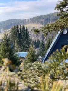 Rechenberg-BienenmühleKleines Chalet im Erzgebirge mit Sauna und Kamin的前面有圣诞树的房子