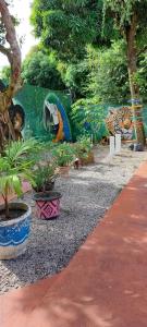 马瑙斯Aldeia Hostel II的花园里种有盆栽植物,墙上挂有绘画