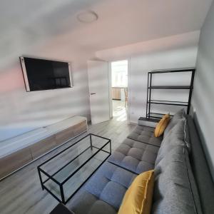 比纳罗斯Apartament Lux的带沙发和电视的客厅