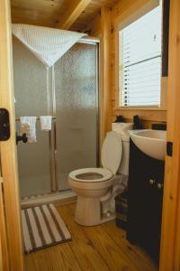 阿马里洛The Big Texan - Cabins and Wagons的浴室配有卫生间、淋浴和盥洗盆。