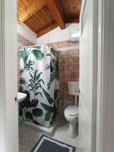 斯达林Demis Apartments的浴室设有卫生间和植物淋浴帘