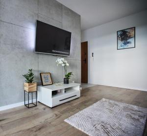 拉多姆Apartament KJ - z garażem podziemnym的客厅设有壁挂式平面电视。