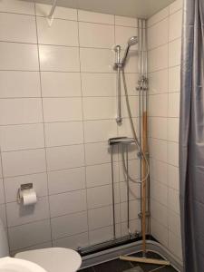 巴斯塔德Fin lägenhet mitt på Bjärehalvön的带淋浴和卫生间的浴室。