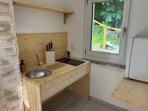 ObergurigFerienhaus Lavendel的一个带水槽和窗户的小厨房