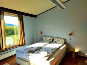 TanaAustertanakrystallen by Pure Lifestyle Arctic的一间卧室设有一张床和一个窗口