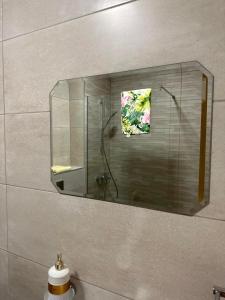 采蒂涅Apartman AURORA CETINJE的浴室墙上的镜子
