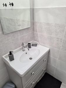 卢瓦尔河畔蒙路易au p'tit logis montlouisien的浴室设有白色水槽和镜子