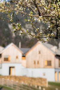 默古拉IKI Retreat Magura的树枝,有白色的房屋,背景