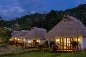 SauceSauce Lodge - Laguna Azul的夜晚一排茅草屋顶的小屋
