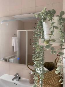 雷阿尔城La Florida的浴室设有水槽和镜子,种植了植物