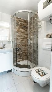 希贝尼克House Gorica的带淋浴和卫生间的浴室