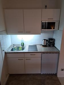 慕尼黑Jezza Apart Suite的一间带水槽和微波炉的小厨房