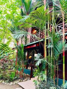 别霍港Casa Elita - Tranquil Escape with Pool, Jacuzzi, AC的一座棕榈树建筑