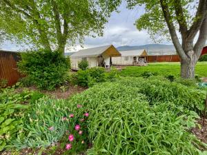 PaoniaCosmo Glamping Tent at Zenzen Gardens的种满鲜花和树木的花园