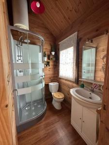 塞特尼尔Casa Rural Las Bodegas的带淋浴、卫生间和盥洗盆的浴室