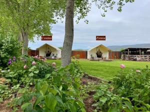 PaoniaZinnia Glamping Tent at Zenzen Gardens的一群花田里的帐篷