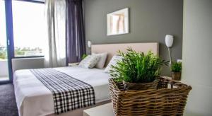 Enchets朋友别墅家庭酒店的一间卧室,配有一张装有植物的篮子床