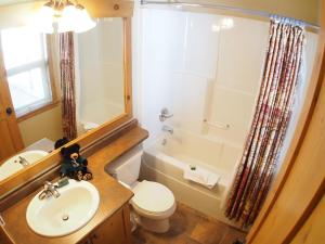 太阳峰Crystal Forest #53 By Bear Country的一间带水槽、卫生间和淋浴的浴室