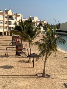 杜拉特阿拉尔شاليه La veranda的两棵棕榈树,位于沙滩上,拥有建筑