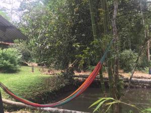 Santa ClaraFinca Bambú Del Valle的花园里挂在树上的吊床