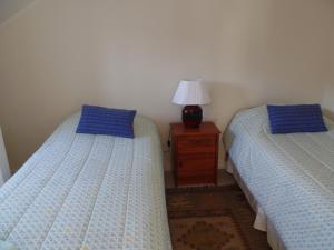 巴拉斯港Decher Apartment - Puerto Varas的一间卧室配有两张床和一个带灯的床头柜