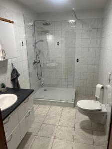 哈纳弗约德尔Eskivellir的带淋浴、卫生间和盥洗盆的浴室