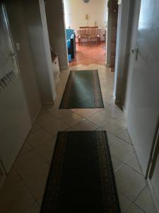 巴拉顿菲兹弗Arsenal sorházi apartman的房屋地板上带两块地毯的走廊