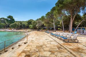 布里俄尼Brijuni Hotel Istra的游泳池旁的一排躺椅