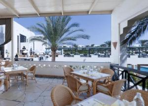 沙姆沙伊赫The Sharm Plaza的一间设有桌椅的餐厅,并种植了棕榈树