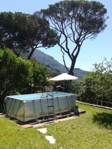 卡莫利La casa di sotto by PortofinoVacanze的一个带遮阳伞的草木热水浴池