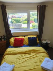 霍舍姆1bedroom flat wt ext sofa chair的窗前带四个五颜六色枕头的床