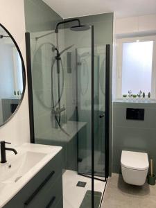 甘迪亚海滩Apartament Bari Playa的带淋浴、卫生间和盥洗盆的浴室