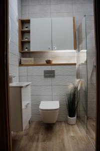 哈日科维Stylowe apartamenty的浴室配有白色卫生间和盥洗盆。