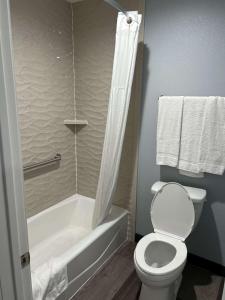 博伟公园波托拉布埃纳公园旅馆&套房酒店的浴室设有卫生间和带淋浴帘的浴缸。