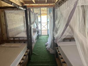 江比阿Coconuts Bandas的客房设有两张双层床和绿色地毯。