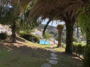 San Salvador de PoioIlla de tambo house的穿过公园内一棵棕榈树的小径