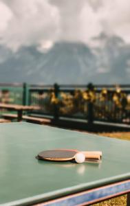 斯拉德明Posers Bergwelt的一张桌子上摆着的乒乓球
