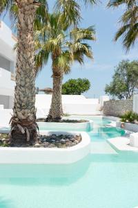 卡马利生活之家套房酒店的度假村内棕榈树游泳池