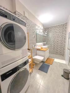 布拉索夫Wooden Touch Studio的浴室设有洗衣机和烘干机。